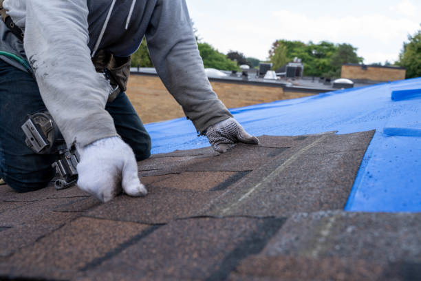 Best Roof Gutter Cleaning  in Medina, OH